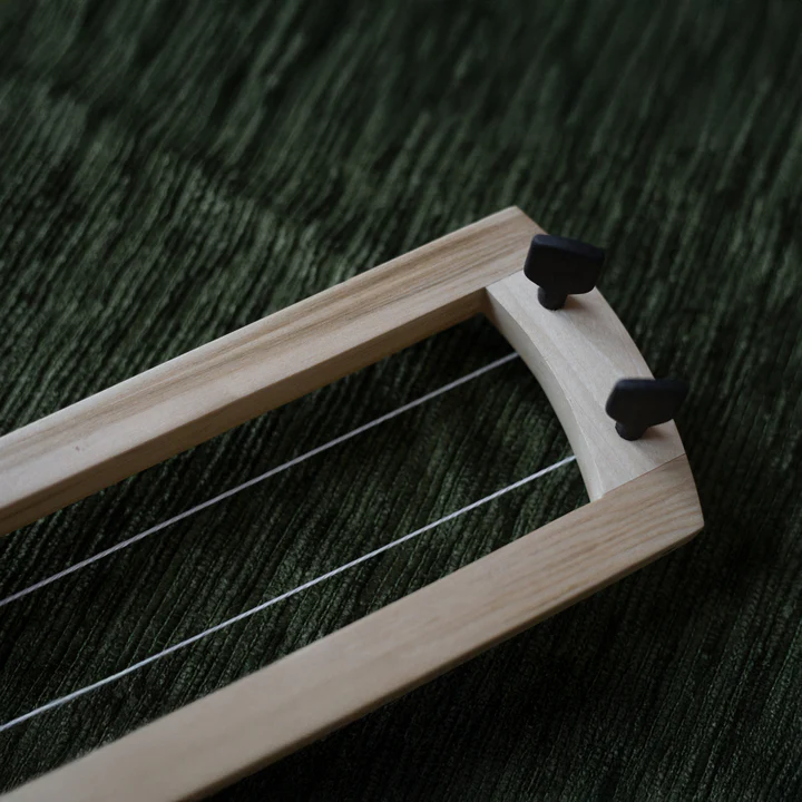 Bass Jouhikko 2 String, Pro - Image 2
