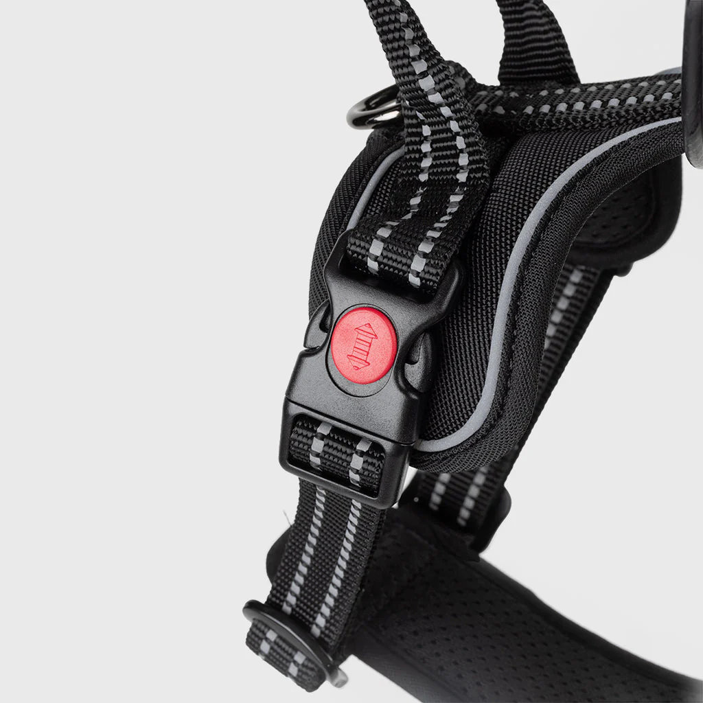 Grimfrost's Dog Harness - Image 4