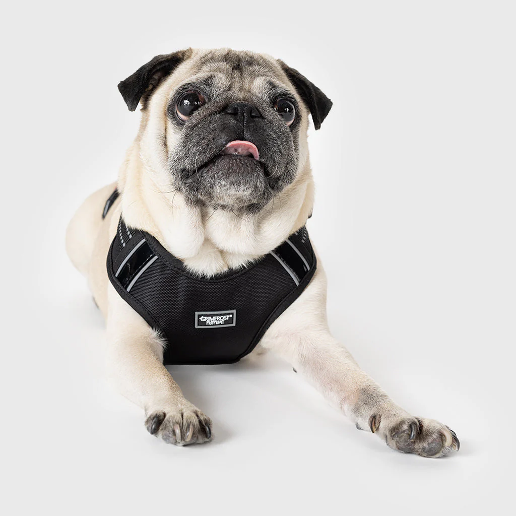 Grimfrost's Dog Harness - Image 6