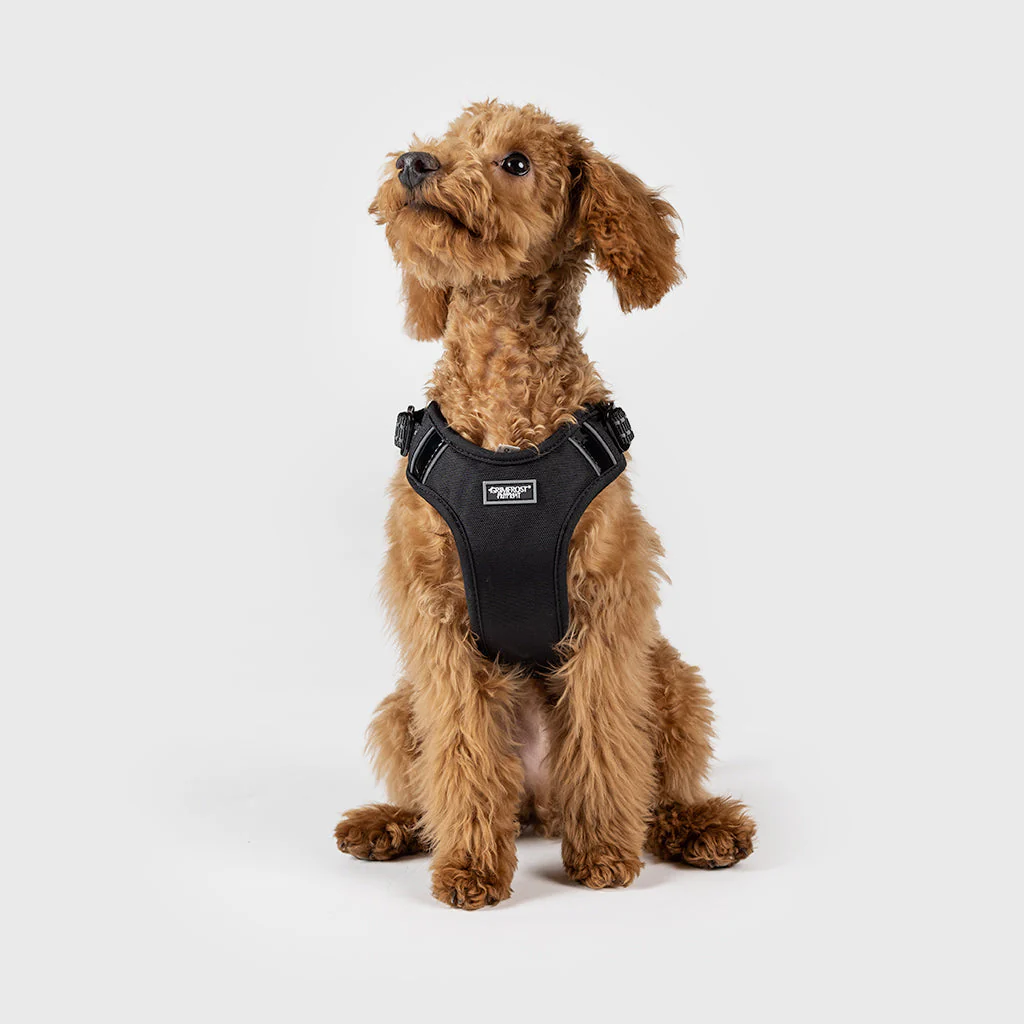 Grimfrost's Dog Harness - Image 7