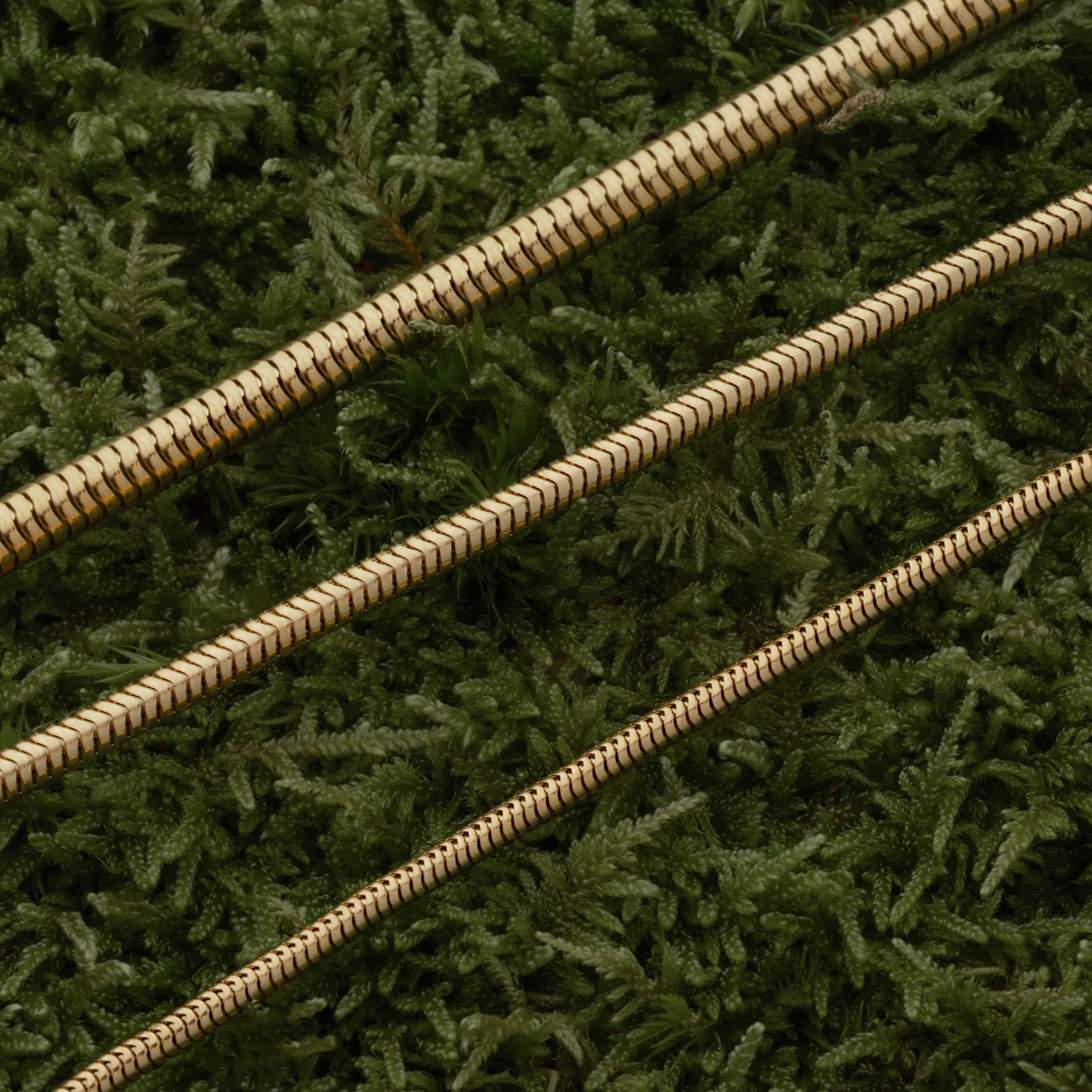 Snake Chain, Gold Plated