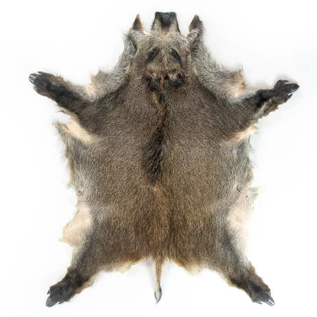 Wild Boar Skin